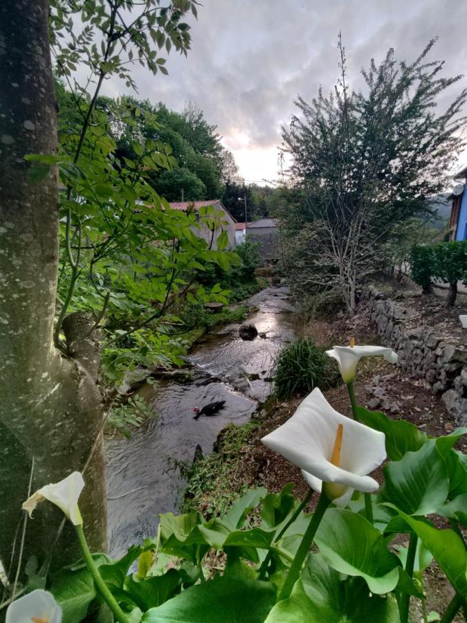 Casa La Cobaraza Vivienda Vacacional Llanes Exteriér fotografie
